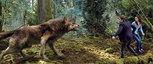were-consultant-wolf-agenzia-wpp-accenture